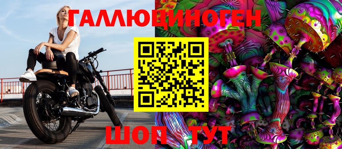 Галлюциногенные грибы Psilocybe Фурманов