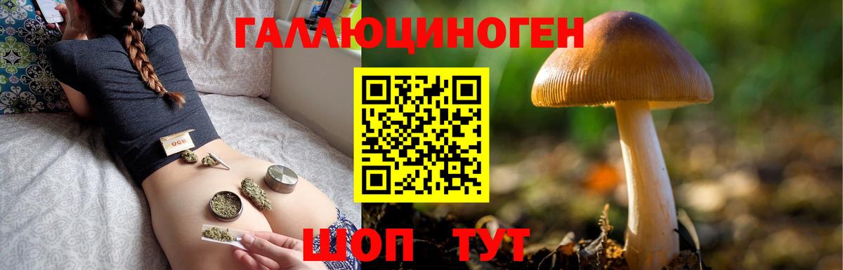 Фурманов  Галлюциногенные грибы Cubensis  купить наркотики цена  Псилоцибиновые грибы Magic Shrooms  Вход с VPN 